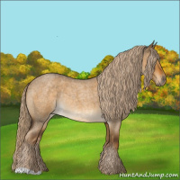 Horse Color:Chocolate Palomino Roan Dun Rabicano