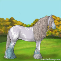 Horse Color:Watercolor White Spotted Liver Red Dun Rabicano 