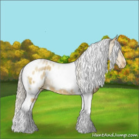 Horse Color:White Spotted Palomino Dun Tobiano Appaloosa 
