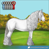 Horse Color:Gold Cream Champagne Splash Tobiano Appaloosa  and Buckskin Splash Tobiano Appaloosa 