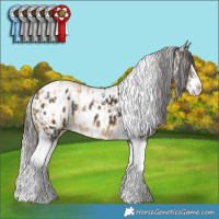 Horse Color:Gold Cream Champagne Splash Tobiano Appaloosa  and Buckskin Splash Tobiano Appaloosa 