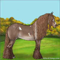 Horse Color:White Spotted Liver Red Dun 