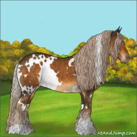 Horse Color:White Spotted Chocolate Palomino 