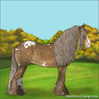 Horse Color:White Spotted Chocolate Palomino Splash Varnish 