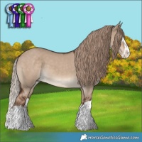 Horse Color:Liver Red Dun Sabino Splash 