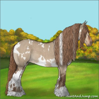 Horse Color:White Spotted Liver Red Dun
