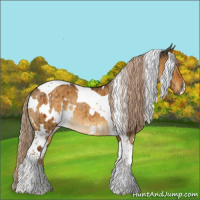 Horse Color:White Spotted Chocolate Palomino Dun Tobiano Rabicano Brindle 