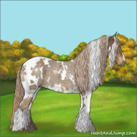 Horse Color:White Spotted Chocolate Palomino 
