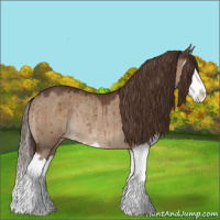 Horse Color:Liver Red Dun Splash Appaloosa Rabicano Brindle