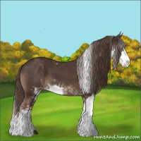 Horse Color:Liver Chestnut Sabino Varnish 