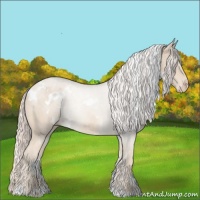 Horse Color:White Spotted Cremello Roan 
