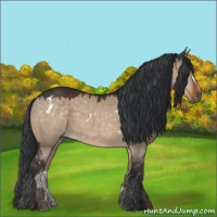 Horse Color:White Spotted Brown Dun 