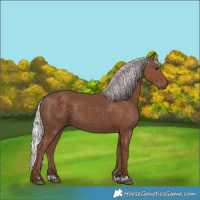 Horse Color:Silver Black