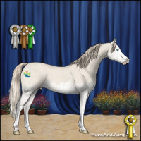 Horse Color:Smoky Creme Dun Sabino Splash and Smoky Creme Dun Sabino Splash