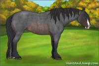 Horse Color:Brown Roan Splash 