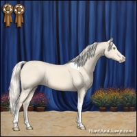 Horse Color:Cremello Tobiano 