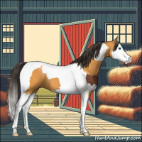 Horse Color:Bay Splash Tobiano and Buckskin Splash Tobiano