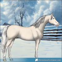 Horse Color:Cremello 