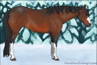 Horse Color:Brown 