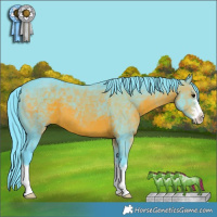 Horse Color:Watercolor Brown 