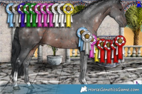 Horse Color:Brown 