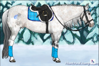 Horse Color:White Spotted Brown 
