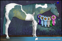 Horse Color:Watercolor Brown Tobiano 