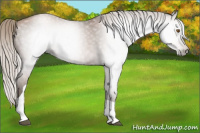 Horse Color:Gray Silver Blue Roan Pearl Tobiano 