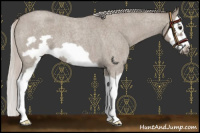 Horse Color:Silver Grullo Roan Splash Frame 
