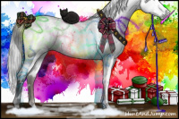 Horse Color:Gray White Spotted Grullo 