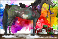 Horse Color:White Spotted Grullo Frame