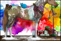 Horse Color:White Spotted Liver Red Dun Tobiano 