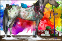 Horse Color:White Spotted Brown Dun Appaloosa 