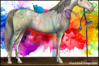 Horse Color:White Spotted Chocolate Palomino Pearl Dun 