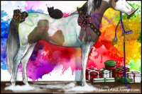 Horse Color:Brown Dun Sabino Splash Tobiano