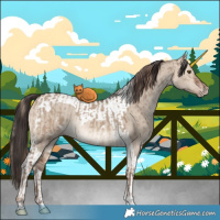 Horse Color:White Spotted Liver Red Dun  and Sable Champagne Dun Tobiano 