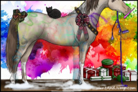 Horse Color:Grullo Pearl Tobiano