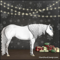 Horse Color:Gray Silver Black Splash Tobiano 