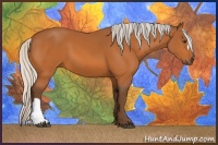 Horse Color:Silver Buckskin 