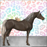Horse Color:Silver Smoky Black