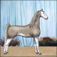 Horse Color:Silver Grullo Splash