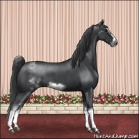 Horse Color:White Spotted Blue Roan Splash Frame Varnish 