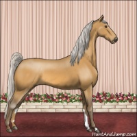 Horse Color:Silver Buckskin 