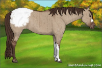 Horse Color:Liver Red Dun Snowcap Brindle 