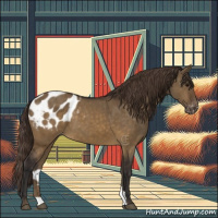 Horse Color:Buckskin Dun Blanket Brindle 