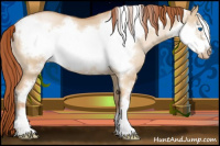 Horse Color:Buckskin Pearl Dun Sabino Frame Rabicano 