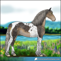 Horse Color:Silver Smoky Black Tobiano Varnish 