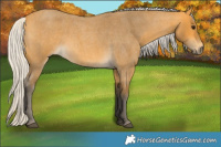 Horse Color:Silver Buckskin Roan 