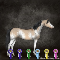 Horse Color:White Spotted Brown Dun 