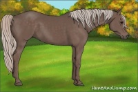 Horse Color:Silver Black 